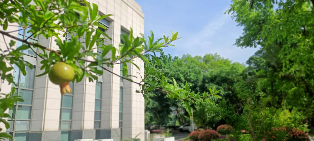 122cc太阳集成游戏